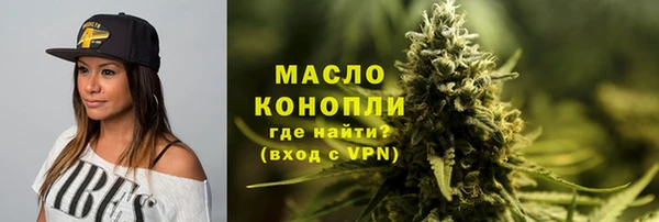 эйфоретик Вяземский