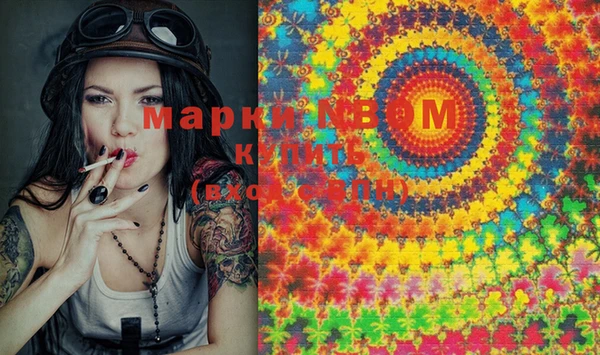 эйфоретик Вяземский