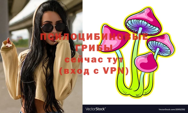 эйфоретик Вяземский