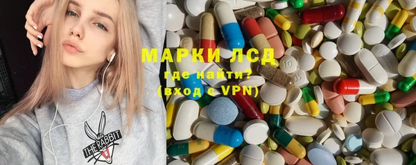 эйфоретик Вяземский