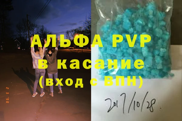 эйфоретик Вяземский
